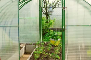 producent szklarni z poliwęglanu