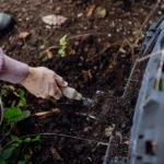 nawóz naturalny – jak samodzielnie przygotować skuteczne środki ochrony i pielęgnacji roślin