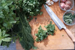 ziołowy ogród przez cały rok - jak zacząć uprawę aromatycznych roślin