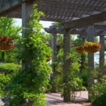 kwitnąca altana – jak ją zaprojektować