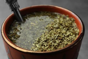 Jak parzyć yerba mate? Kompletny przewodnik dla każdego